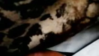 Kuat, berkualitas dan video bule crot kain wol Bush penggemar, 687